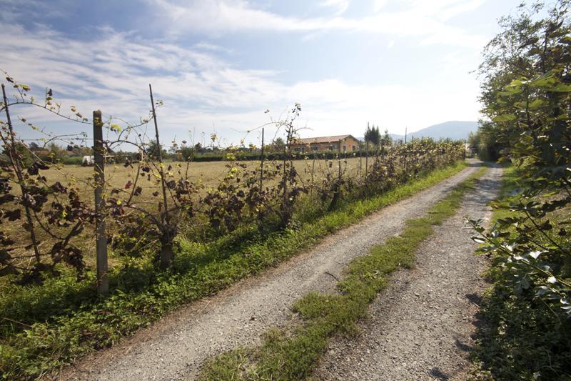 L'Ortobio Villa Sarzana Dış mekan fotoğraf